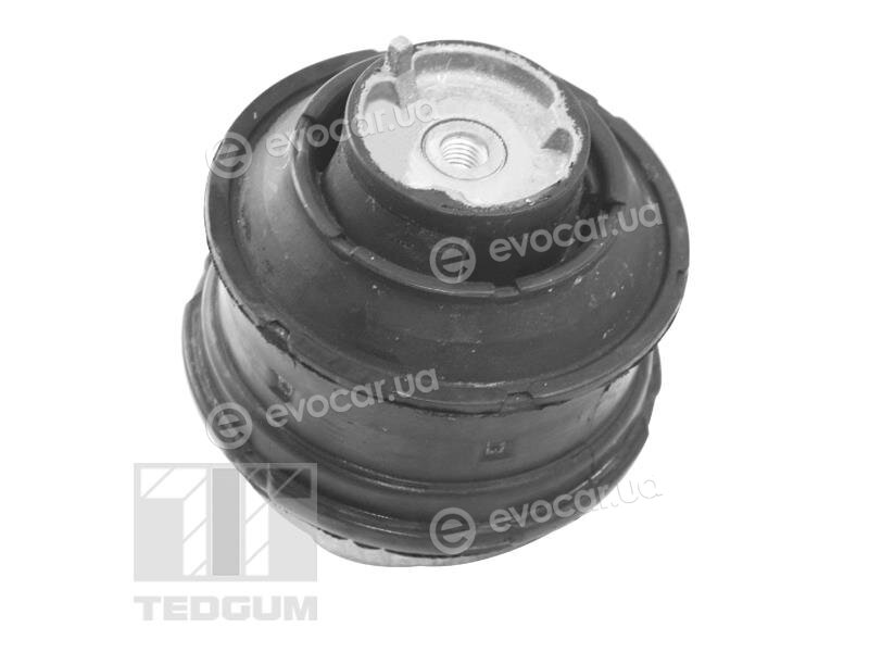 Tedgum TED81021