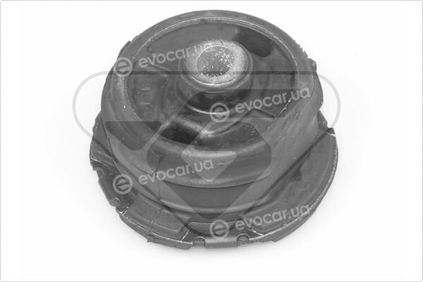 Hutchinson 560550