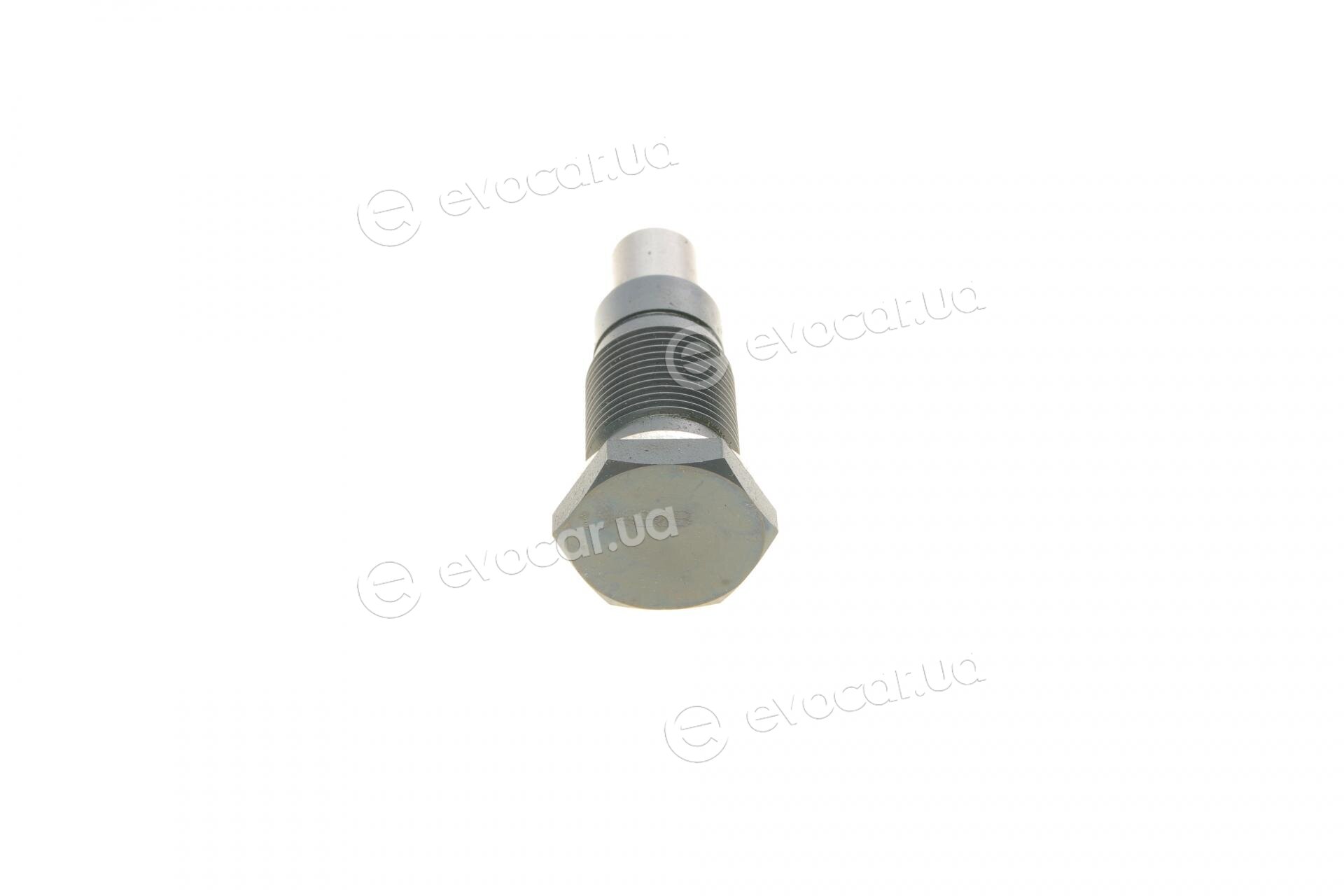 Borsehung B19308