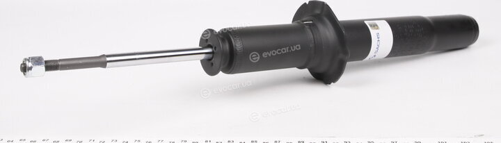 Sachs 317 137