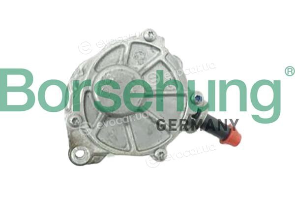 Borsehung B12527