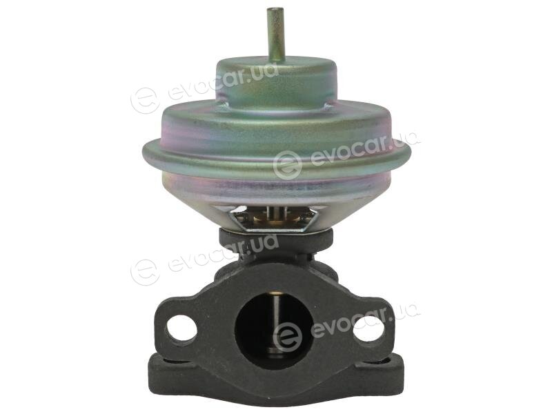 Starline ED STEG108-N