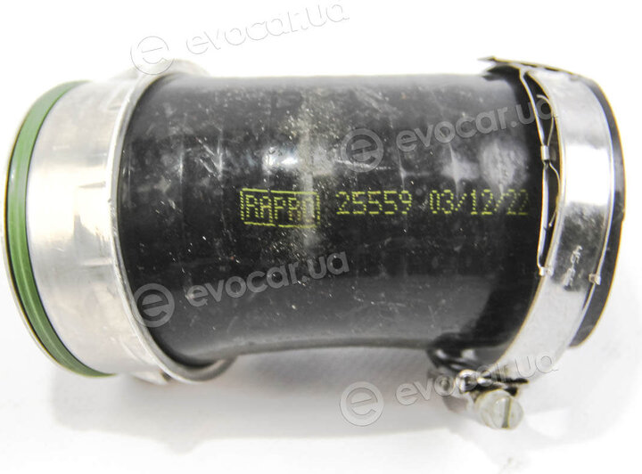 Rapro R25559