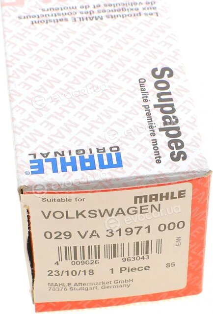 Mahle 029 VA 31971 000