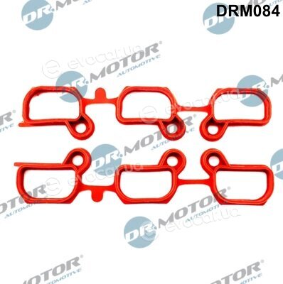 Dr. Motor DRM084
