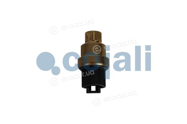 Cojali 2263025