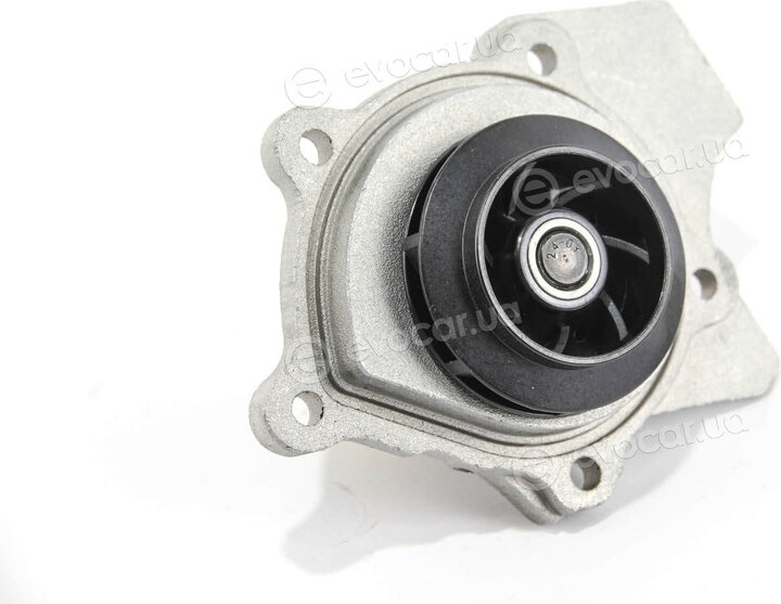 Dolz A231