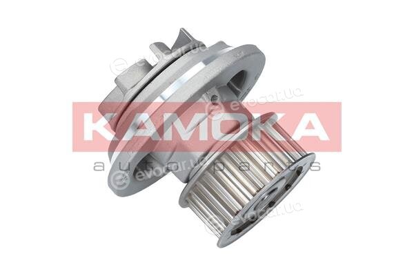 Kamoka T0069