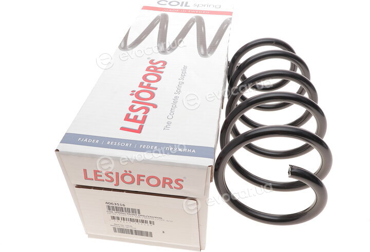 Lesjofors 4063516