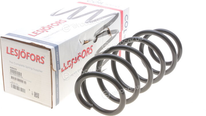 Lesjofors 4095075