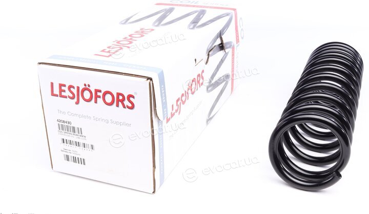 Lesjofors 4208430