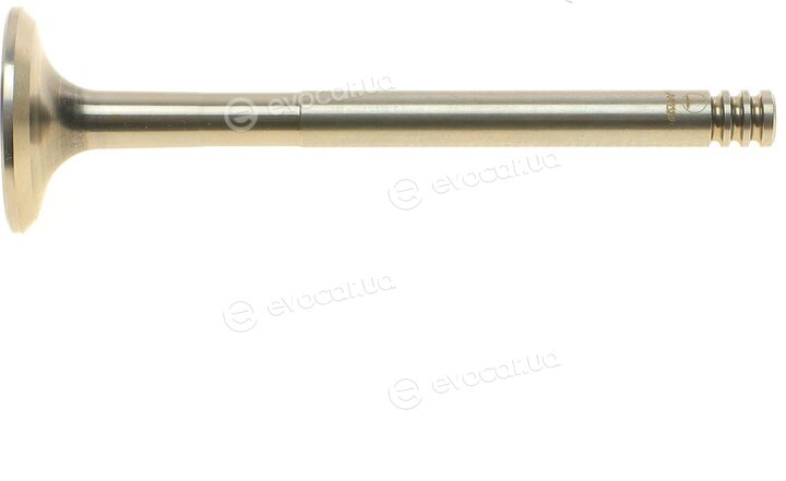 AMP PVWG015-A-0-N