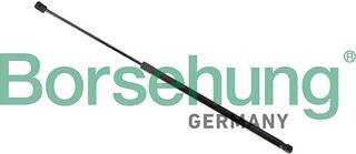 Borsehung B13251