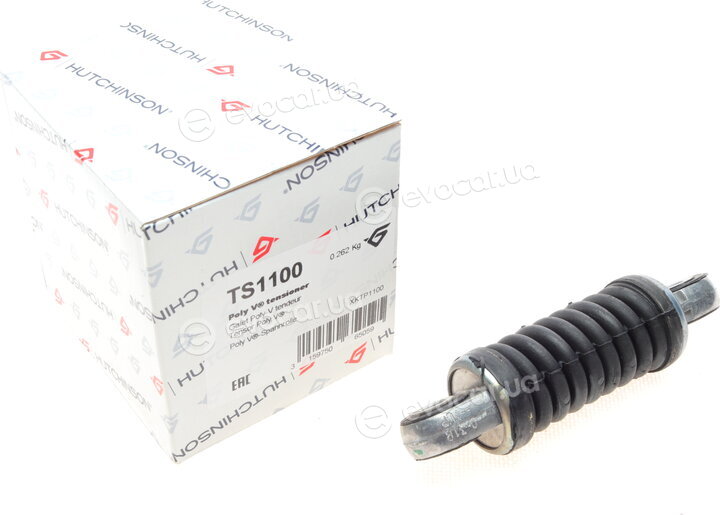 Hutchinson TS1100