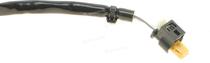 Solgy 115026