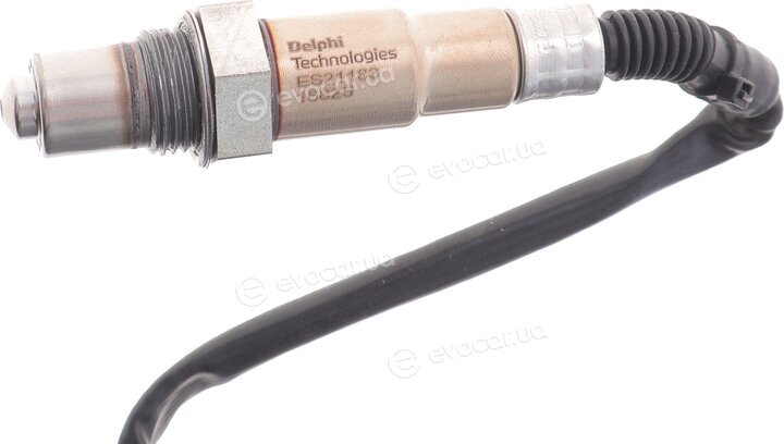 Delphi ES21183