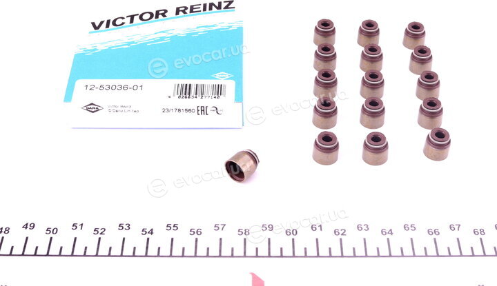 Victor Reinz 12-53036-01