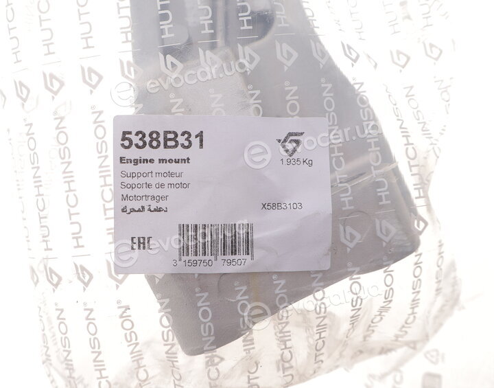 Hutchinson 538B31