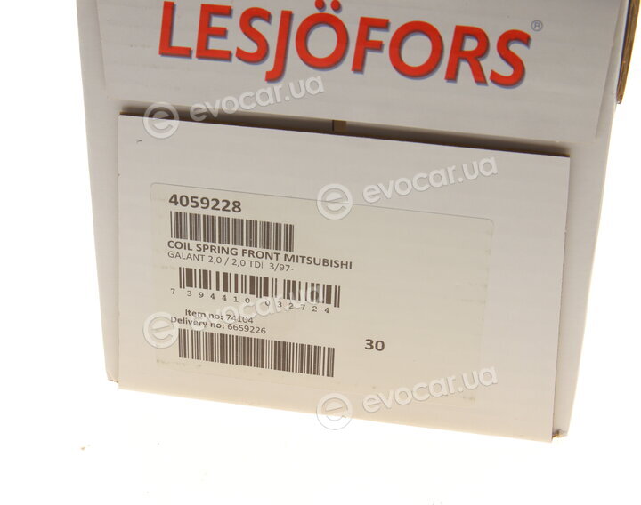 Lesjofors 4059228