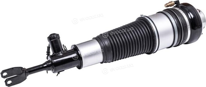 Starline TL V00003