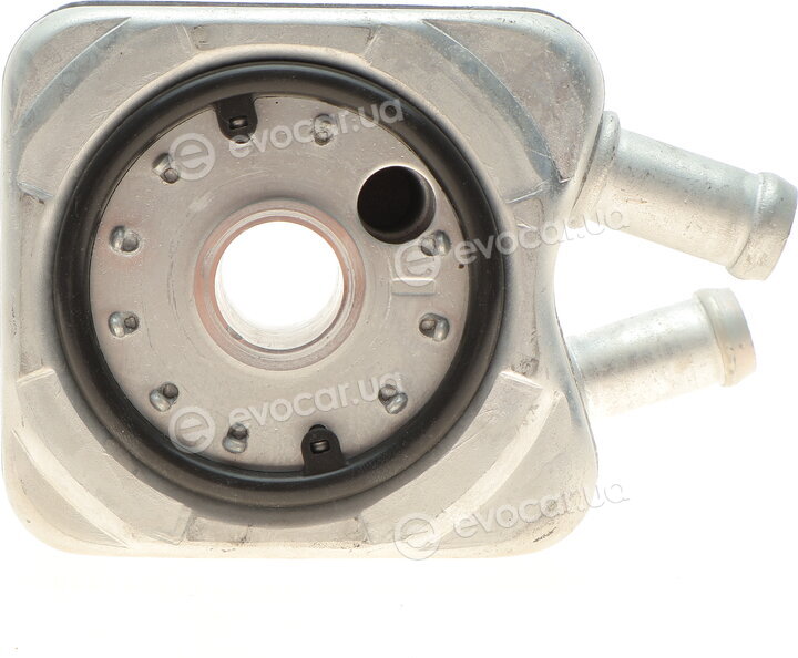 Adler 068117021B
