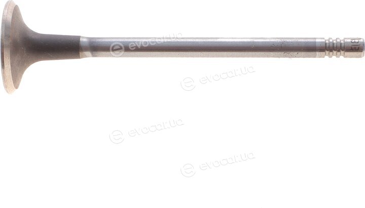 Mopar (PSA / FCA) 9814152480