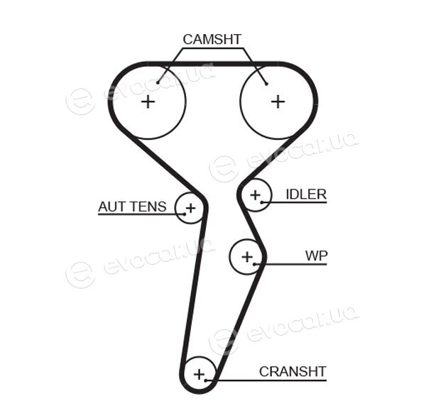 Gates K035671XS