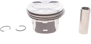 Mahle 028 PI 00117 000