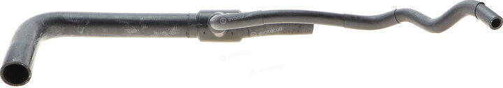 Gates 05-3175