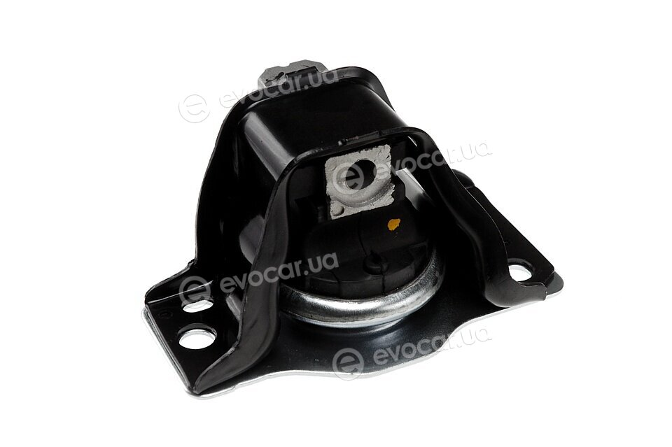 NTY ZPS-RE-011