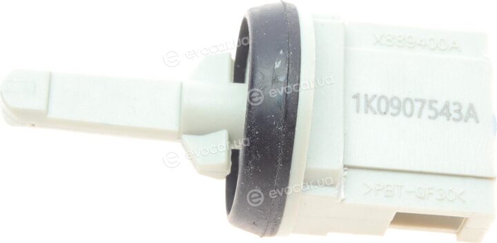 Borsehung B11448