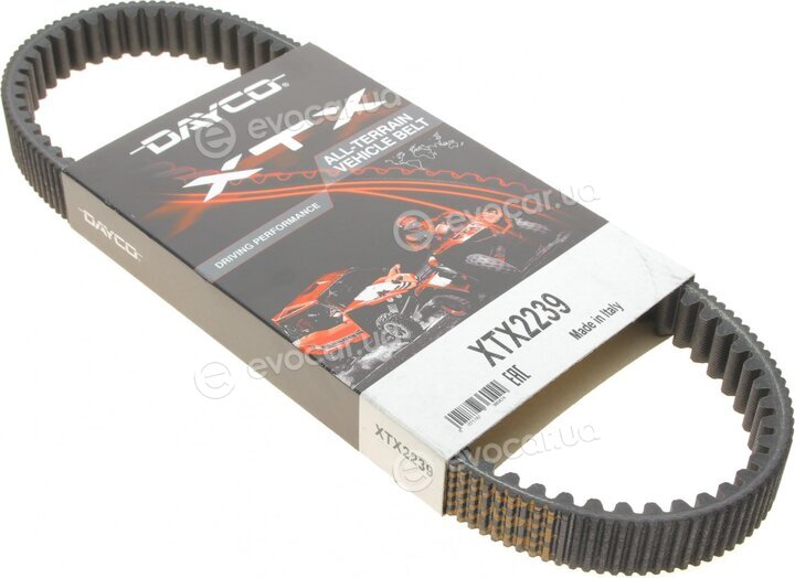 Dayco XTX2239