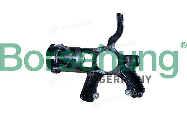 Borsehung B12924