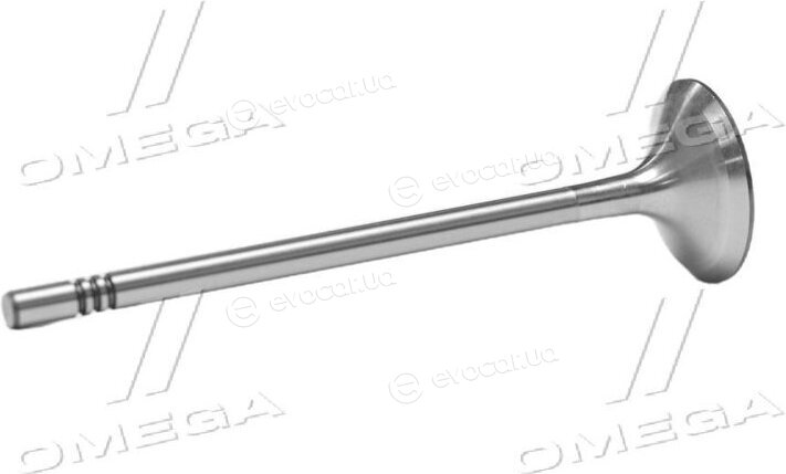 Gunes 6050