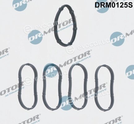 Dr. Motor DRM0125S