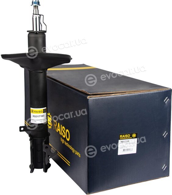 Raiso RS317163