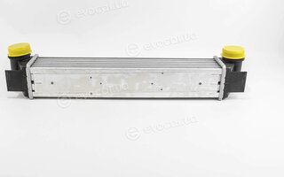 Mahle CI 338 000S
