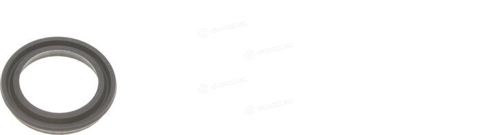 Frenkit 242023