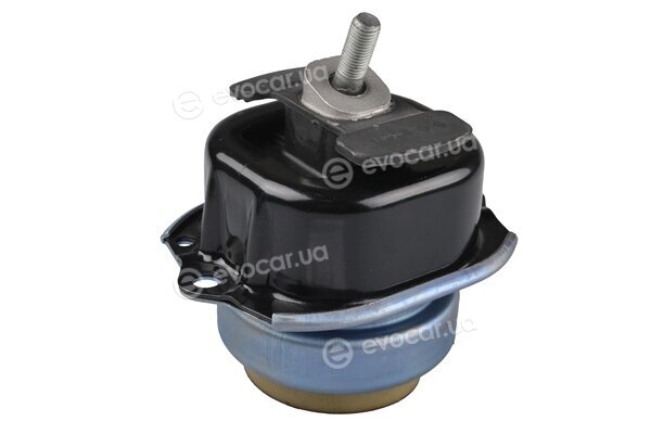 Tedgum TED93486