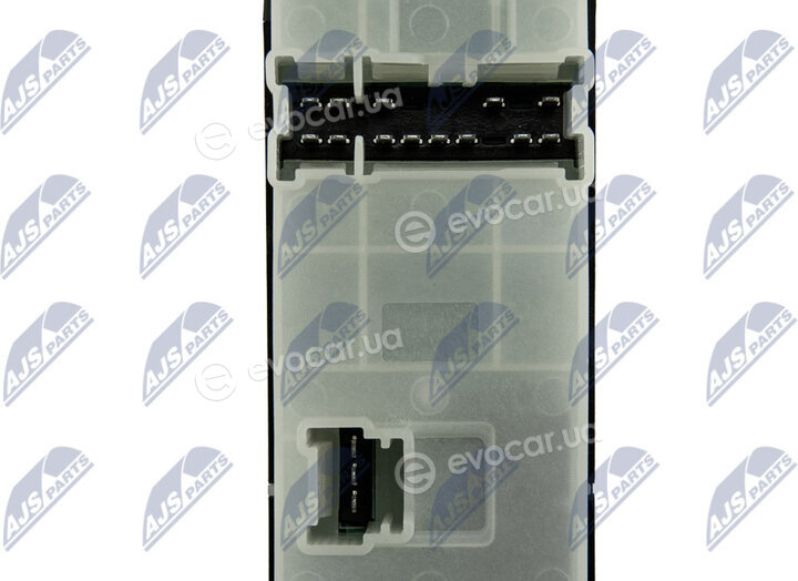 NTY EWS-NS-019