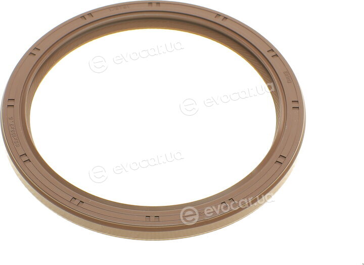 Elring 855.060