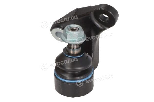 Reinhoch RH03-3028
