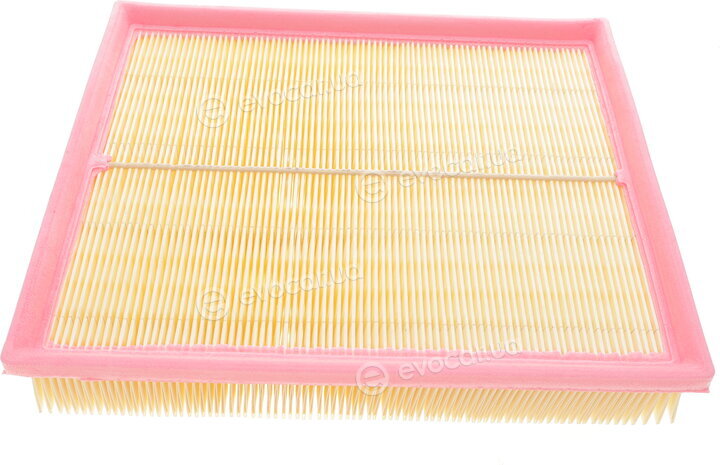 Solgy 103106