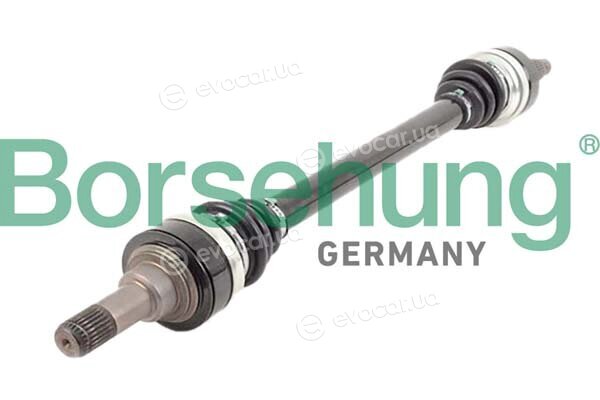 Borsehung B12491