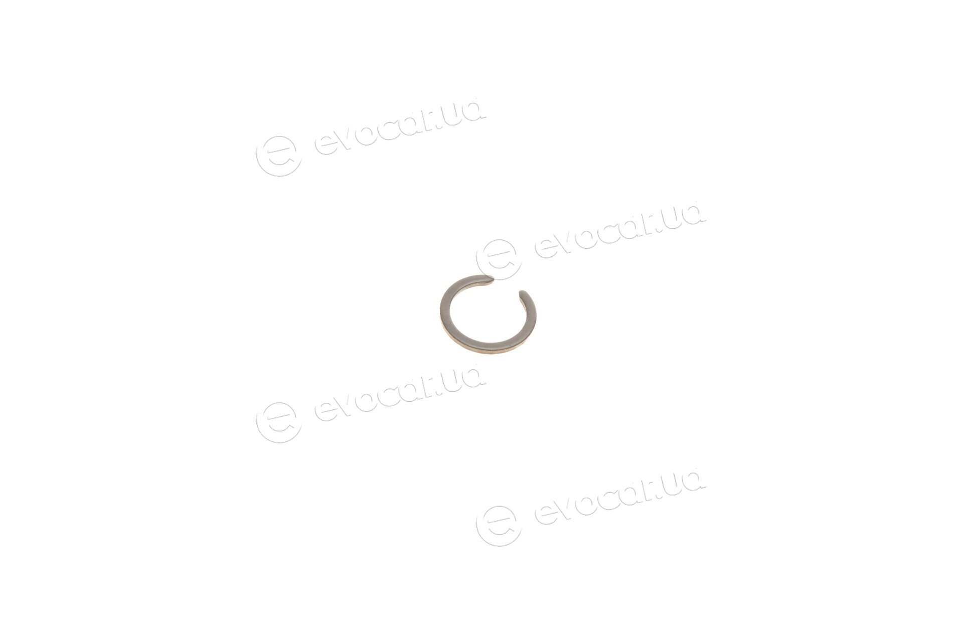 Solgy 123005