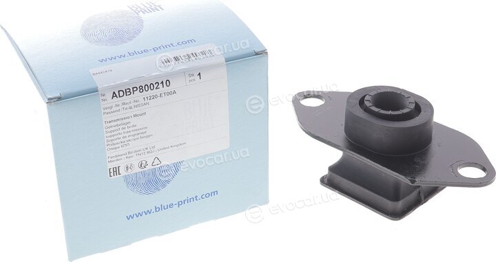 Blue Print ADBP800210