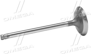 Gunes 1240