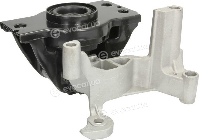 Tedgum TED12511