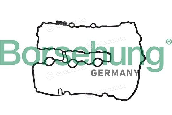 Borsehung B12966
