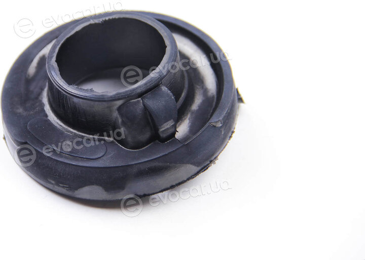 BC Guma 0231